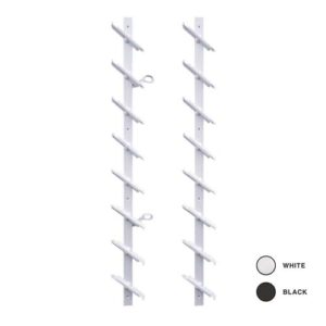 IBX - BLV